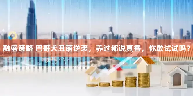 融盛策略 巴哥犬丑萌逆袭，养过都说真香，你敢试试吗？