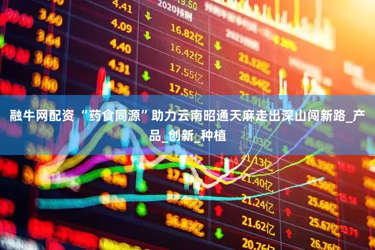 融牛网配资 “药食同源”助力云南昭通天麻走出深山闯新路_产品_创新_种植