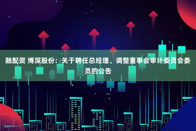 融配资 博深股份：关于聘任总经理、调整董事会审计委员会委员的公告