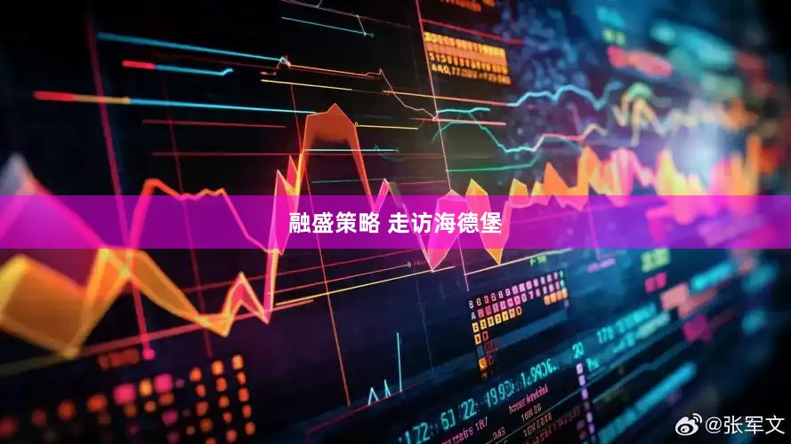 融盛策略 走访海德堡
